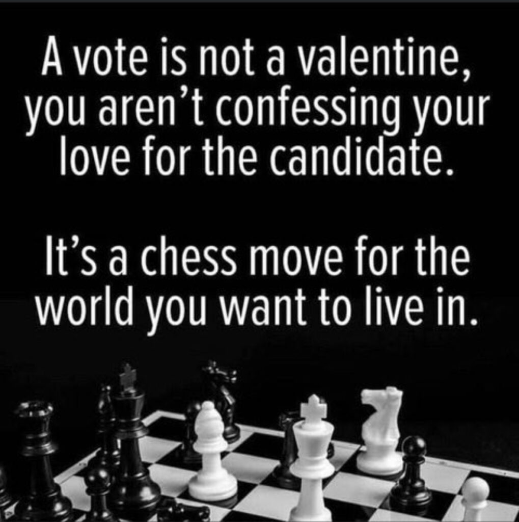 A vote is a chess move for the best candidate for your issues even if not perfect